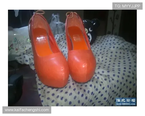 凯发网网站官方地址查询流程详解及注意事项介绍